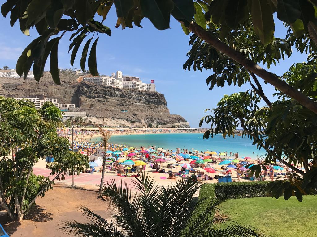 Su Eminencia - Sea View Apartment With Modern Comforts Playa Del Cura  Ngoại thất bức ảnh